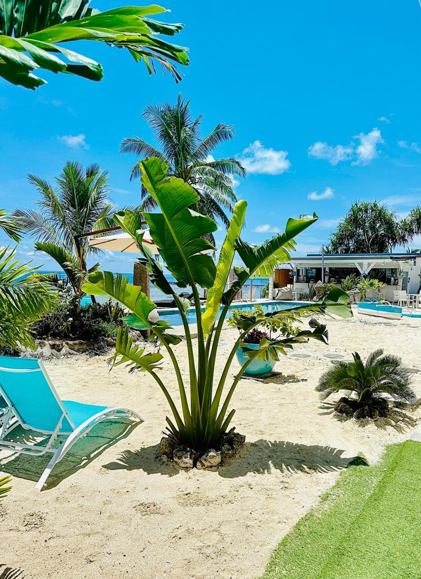 Pension Irivai, Appartement Uo Uo 3 Chambres Vue Mer Uturoa Exterior foto